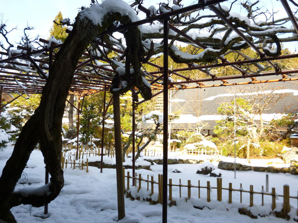 高野山 宿坊 熊谷寺 -Koyasan Shukubo Kumagaiji- Вакаяма Экстерьер фото